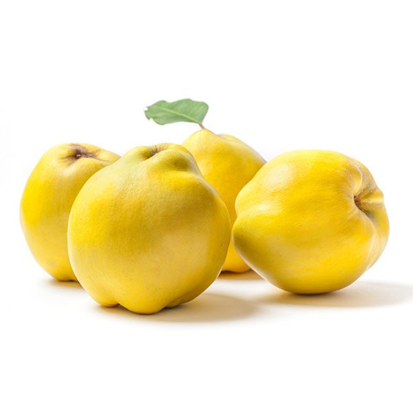 Gutui.jpg