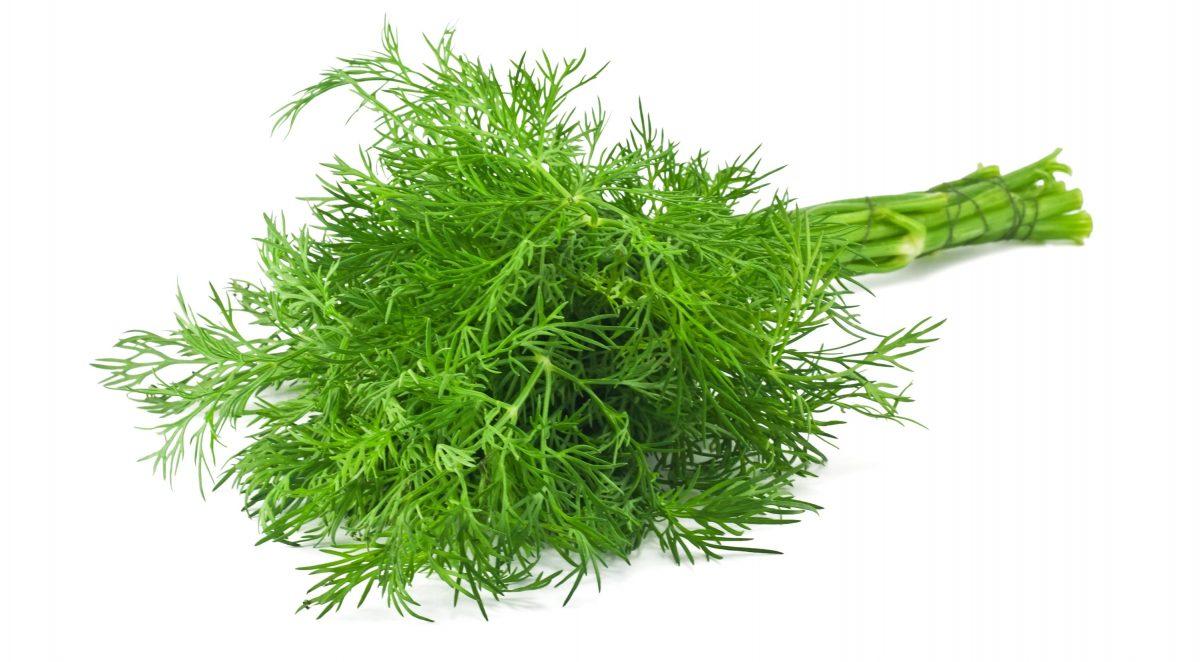 Marar-verde.jpg