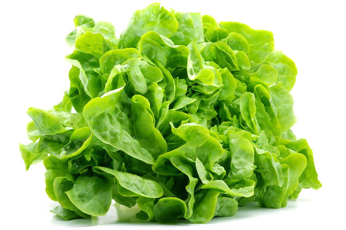 Salata-verde.jpg