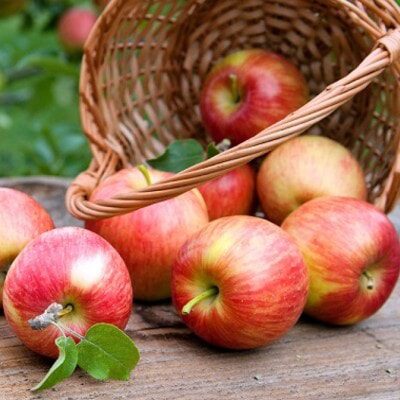 Mere romanesti - Produse de la fermieri si producatori locali Mere romanesti - Produse de la fermieri si producatori locali