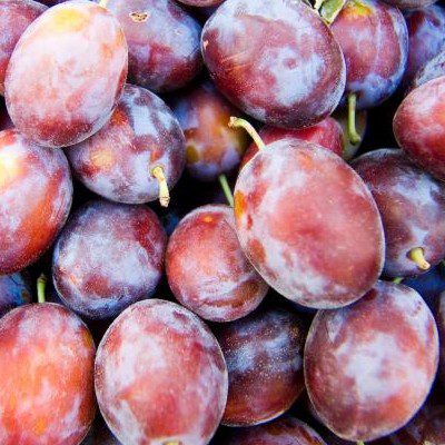 prune-romanesti.jpg