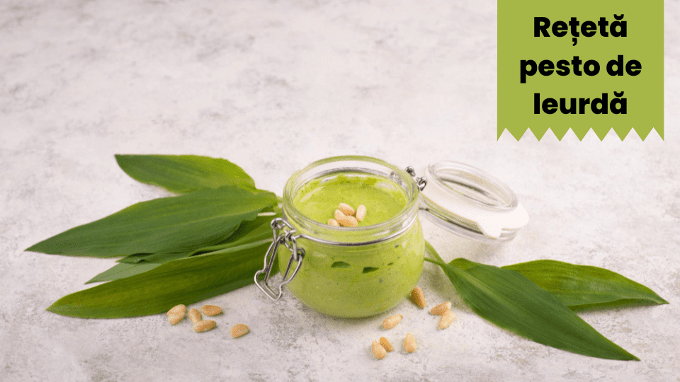reteta pesto leurda