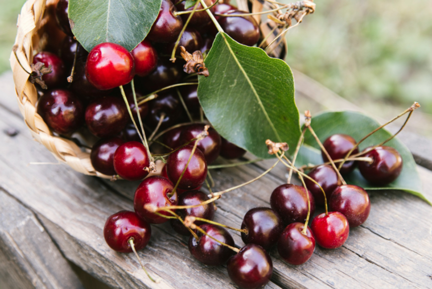 Cireșele pot fi consumate în sucuri smoothie, în salate, în prăjituri delicioase, se pot conserva prin prepararea gemurilor sau se congelează în frigider.